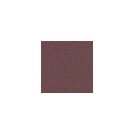 CARTULINA MI-TEINTES DE 160 G 50X65 CM