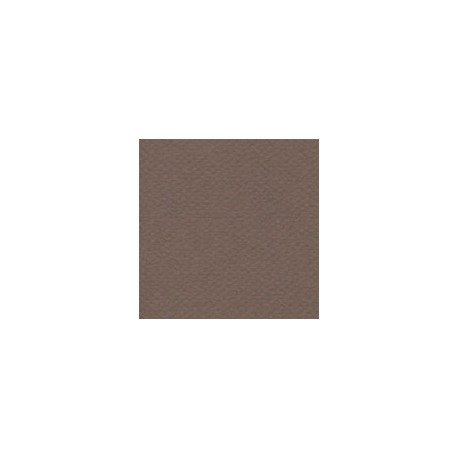 CARTULINA MI-TEINTES DE 160 G 50X65 CM