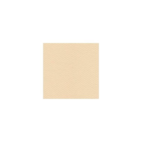 CARTULINA MI-TEINTES DE 160 G 50X65 CM