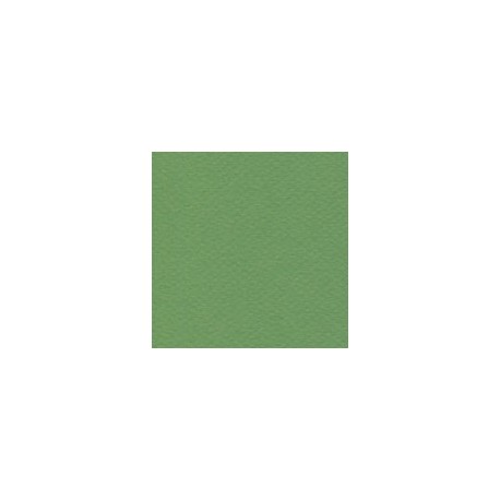 CARTULINA MI-TEINTES DE 160 G 50X65 CM