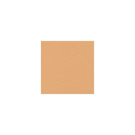 CARTULINA MI-TEINTES DE 160 G 50X65 CM