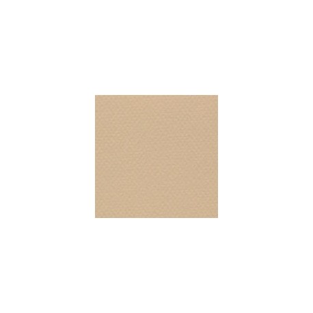 CARTULINA MI-TEINTES DE 160 G 50X65 CM