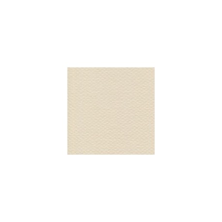 CARTULINA MI-TEINTES DE 160 G 50X65 CM