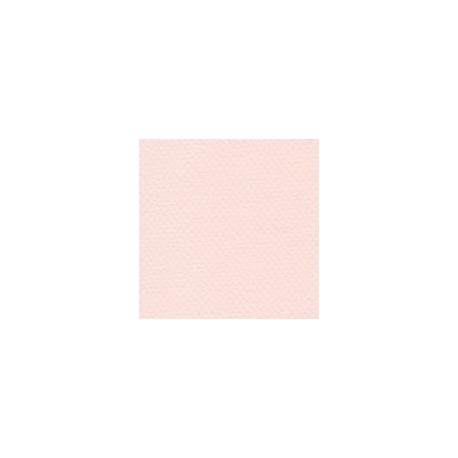 CARTULINA MI-TEINTES DE 160 G 50X65 CM