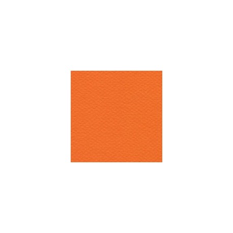 CARTULINA MI-TEINTES DE 160 G 50X65 CM