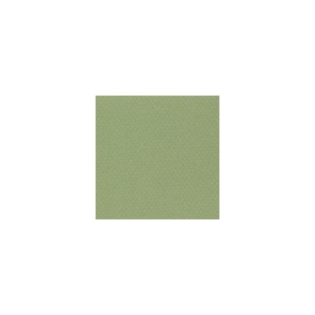 CARTULINA MI-TEINTES DE 160 G 50X65 CM