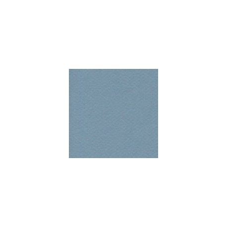 CARTULINA MI-TEINTES DE 160 G 50X65 CM