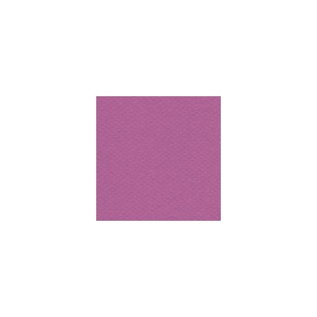 CARTULINA MI-TEINTES DE 160 G 50X65 CM