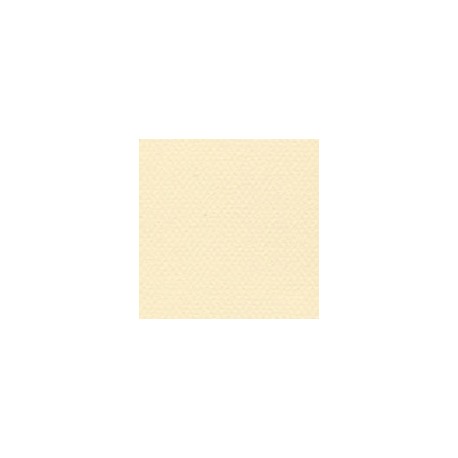CARTULINA MI-TEINTES DE 160 G 50X65 CM