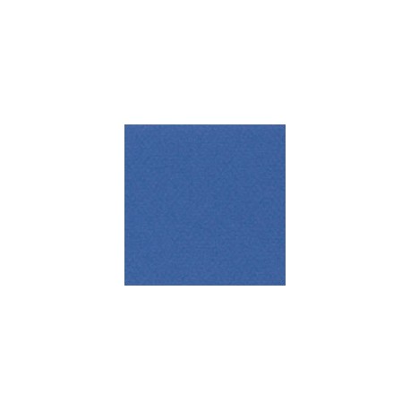CARTULINA MI-TEINTES DE 160 G 50X65 CM