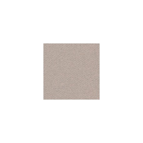CARTULINA MI-TEINTES DE 160 G 50X65 CM