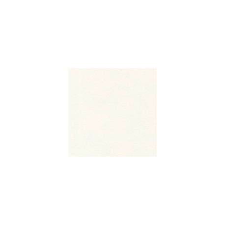 CARTULINA CLASSIC EGGSHELL DE 216 G 66X101 C ...