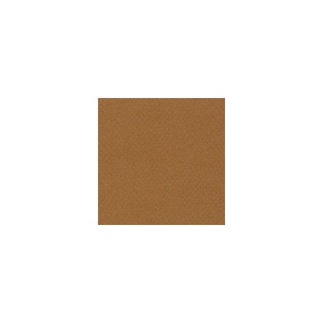 CARTULINA MI-TEINTES DE 160 G 50X65 CM