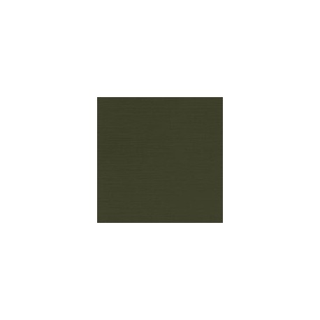 CARTULINA CLASSIC LINEN DE 216 G 66X101 CM