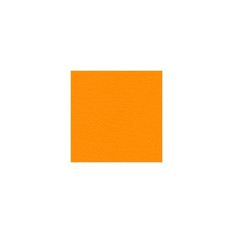 CARTULINA MI-TEINTES DE 160 G 50X65 CM