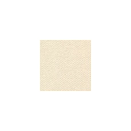CARTULINA MI-TEINTES DE 160 G 50X65 CM