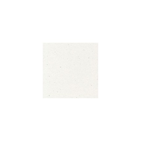 CARTULINA ENVIRONMENT DE 216 G 66X101 CM