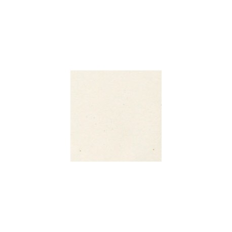 CARTULINA ENVIRONMENT DE 216 G 66X101 CM