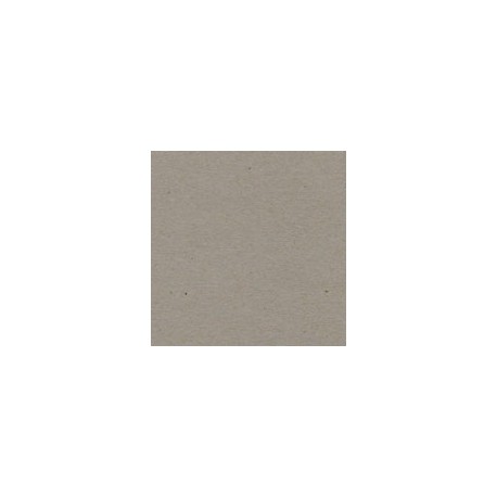 CARTULINA ENVIRONMENT RAW DE 216 G 66X101 CM