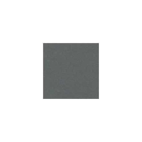 CARTULINA ENVIRONMENT RAW DE 216 G 66X101 CM