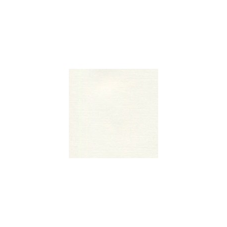 PAPEL CLASSIC LINEN DE 118 G 58X89 CM