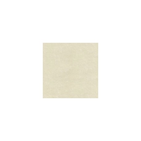 CARTULINA ASTROPARCHE DE 176G 58X89CM