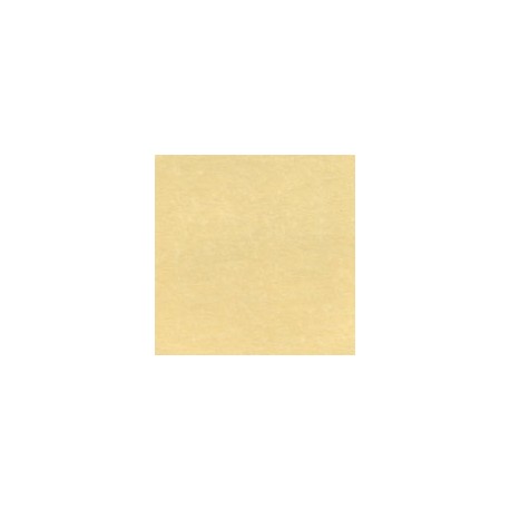 CARTULINA ASTROPARCHE DE 176G 58X89CM