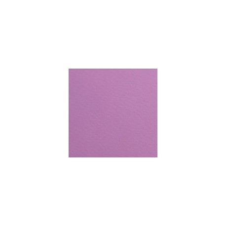 CARTULINA FIRENZE DE 160 G 70X100 CM