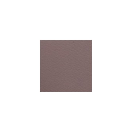 CARTULINA FIRENZE DE 160 G 70X100 CM