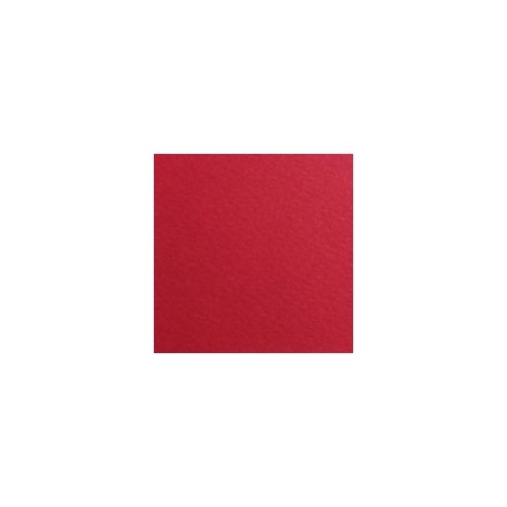 CARTULINA FIRENZE DE 160 G 70X100 CM