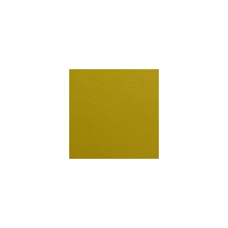 CARTULINA FIRENZE DE 160 G 70X100 CM