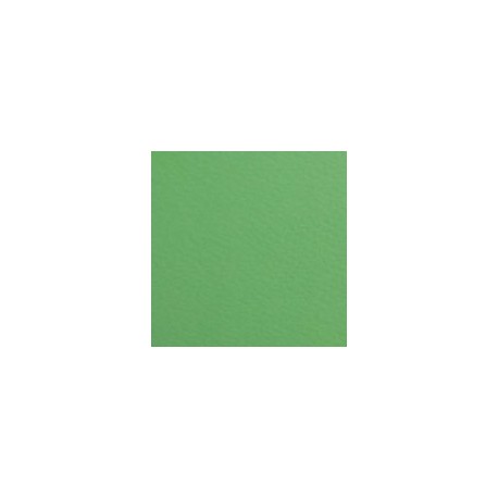 CARTULINA FIRENZE DE 160 G 70X100 CM