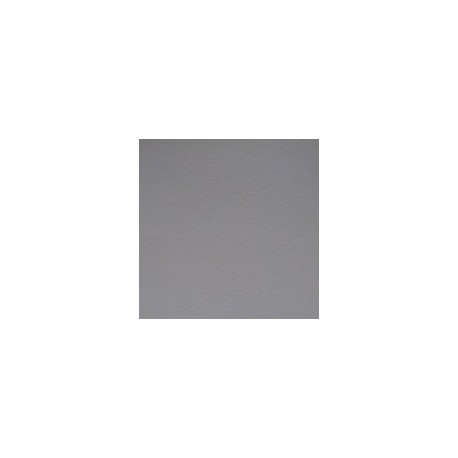 CARTULINA FIRENZE DE 160 G 70X100 CM