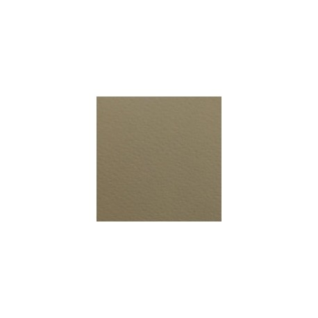 CARTULINA FIRENZE DE 160 G 70X100 CM