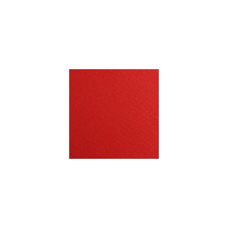 CARTULINA FIRENZE DE 160 G 70X100 CM