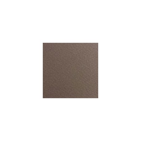 CARTULINA FIRENZE DE 160 G 70X100 CM