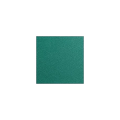 CARTULINA FIRENZE DE 160 G 70X100 CM