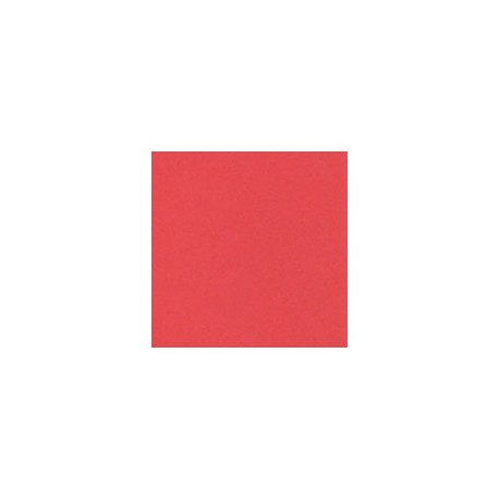 CARTULINA ASTROBRIGHTS DE 176 G 58X89 CM