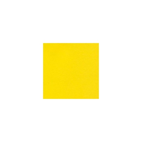 CARTULINA ASTROBRIGHTS DE 176 G 58X89 CM