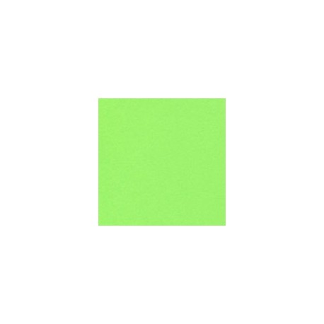 CARTULINA ASTROBRIGHTS DE 176 G 58X89 CM