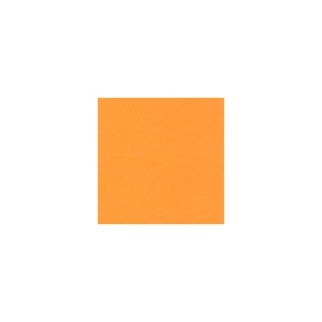 CARTULINA ASTROBRIGHTS DE 176 G 58X89 CM
