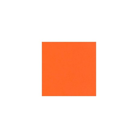 CARTULINA ASTROBRIGHTS DE 176 G 58X89 CM