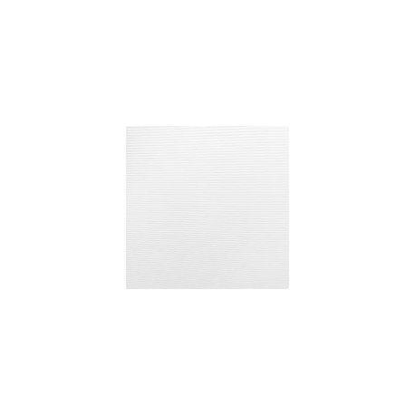 CARTULINA CORDLINE PENTA DE 244 G 58X89