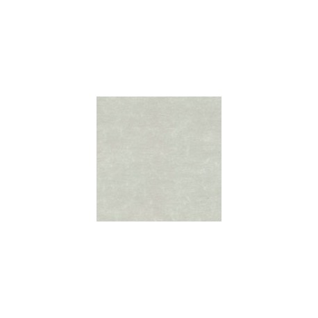 PAPEL ASTROPARCHE DE 90G 58X89CM