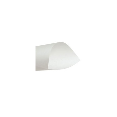 PAPEL MANTEQUILLA GRUESO 61X91 CM 60G