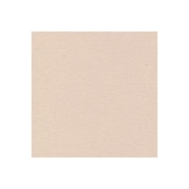 CARTULINA SIRIO COLOR DE 350G 70X100CM