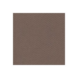 CARTULINA MI-TEINTES DE 160 G 50X65 CM