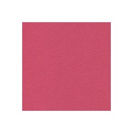 CARTULINA MI-TEINTES DE 160 G 50X65 CM