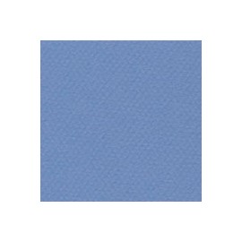 CARTULINA MI-TEINTES DE 160 G 50X65 CM