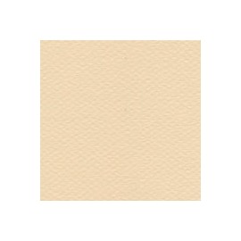 CARTULINA MI-TEINTES DE 160 G 50X65 CM